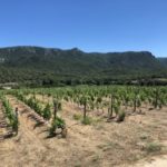 Weingüter auf Sardinien